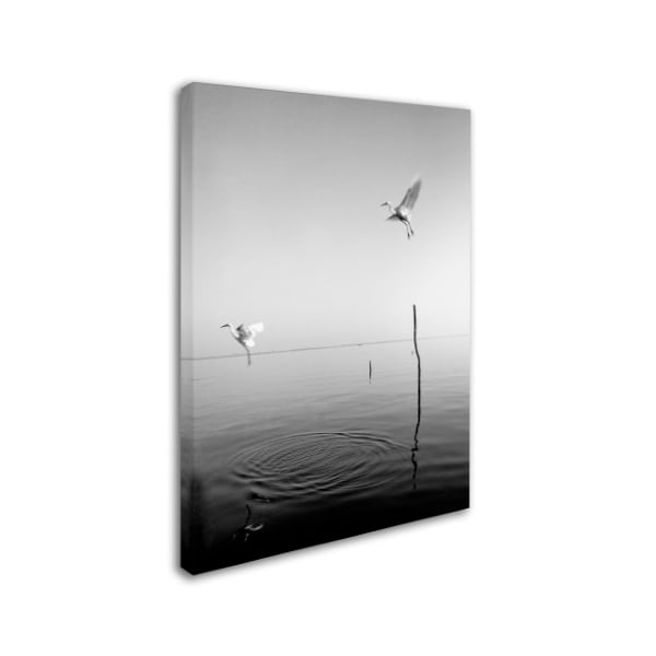 Moises Levy 'Flying' Canvas Art,24x32